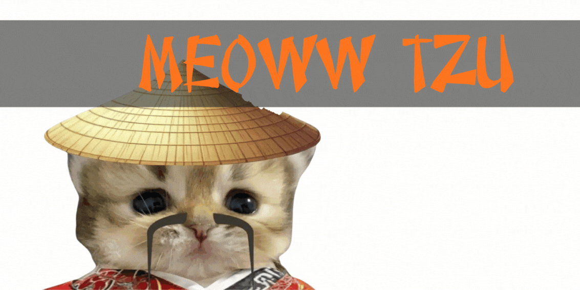 The Art of Meow Animated Banner